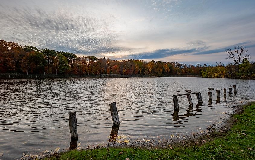 Early Sunrise scene at the Sinking Ponds Wildlife Sanctuary. East Aurora, New York, via Pierre Williot / Shutterstock.com