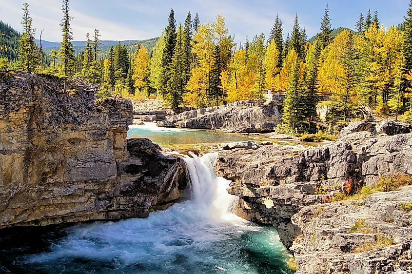 Bragg creek nature