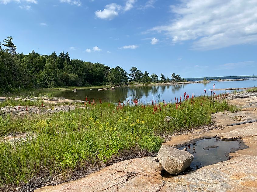 A tranquil bay surrounded by forest, granite shores, and wildlfowers