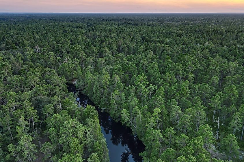 Aerial Photograph of the New Jersey Pine Barrens and Mullica River