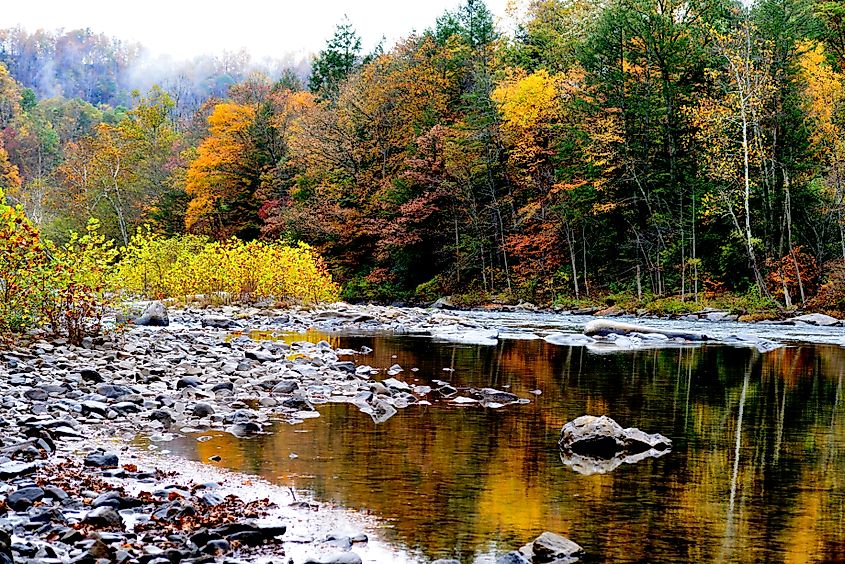Fog and fall color, Gauley River.