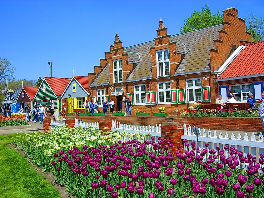 Holland, Michigan Tulip Festival in the spring .