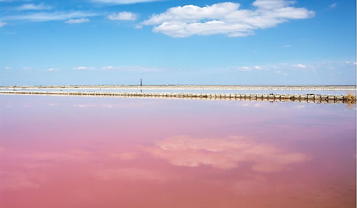 The pink water of the Sivash lagoon system in Ukraine.