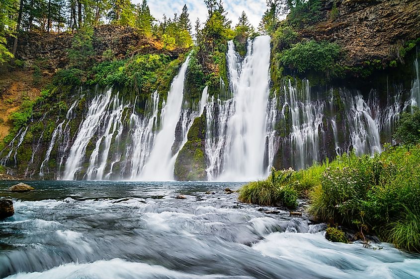 Water cascading over Burney Falls in McArthur-Burney Falls Memorial State Park, California.