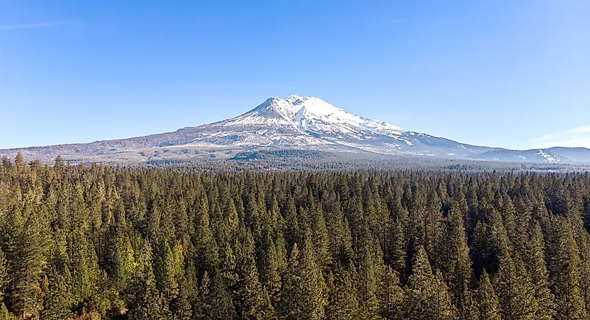 Aerial view of Mount Eddy over the forest