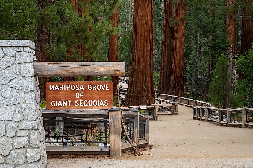 Entrance to Mariposa Grove of Giant Sequoias in Yosemite National Park.