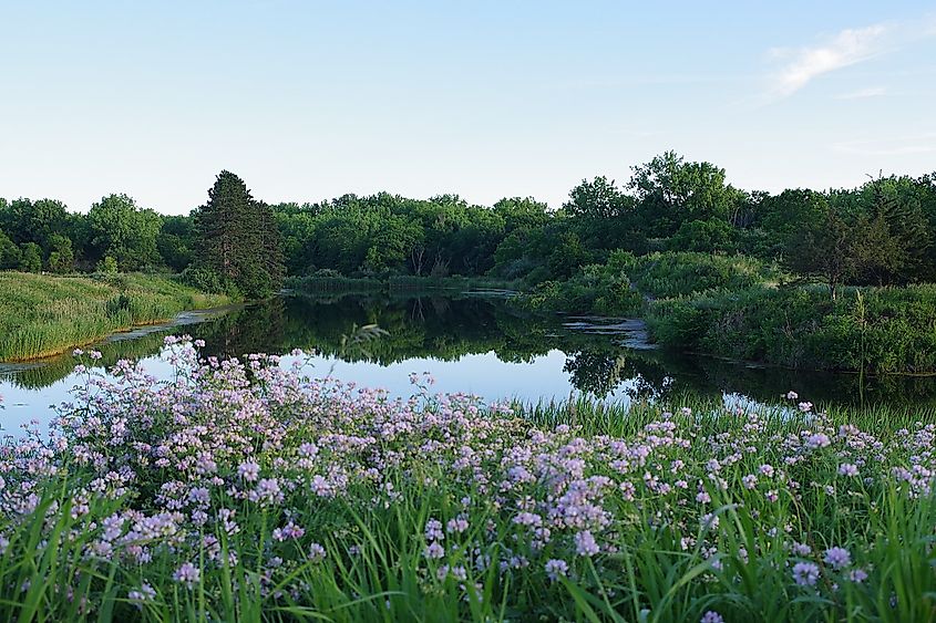 Wildlife Prairie Park, Illinois.