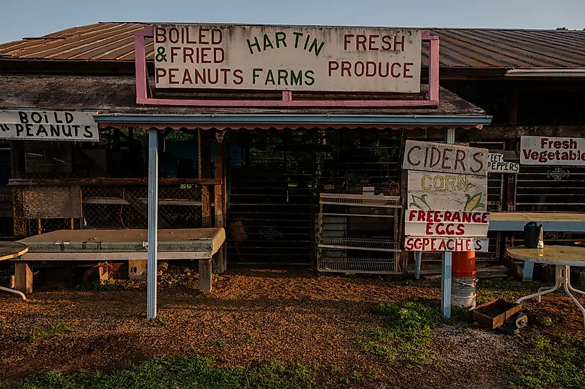Along Greer Highway, a quaint farmer's stand offers a picturesque glimpse into rural commerce in Cleveland, South Carolina.