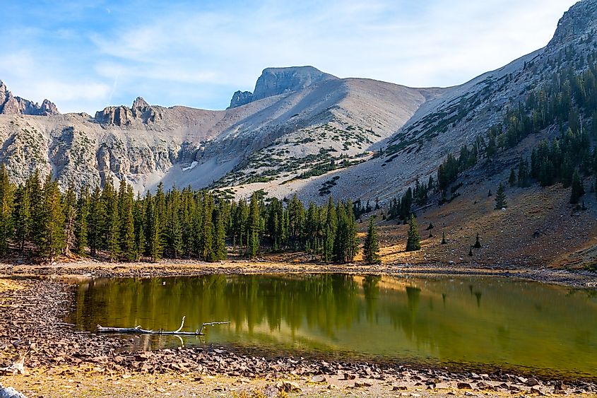 Alpine Loop trail in the Great Basin National Park in Nevada, is quite popular, and passes by two beautiful lakes, one of these being Stella Lake.