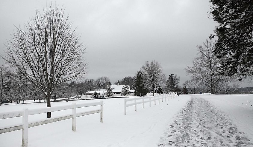 Town and Country, Missouri in the winter