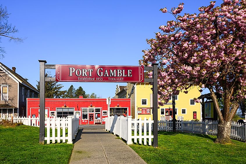 Spring blossoms in Port Gamble, Washington.