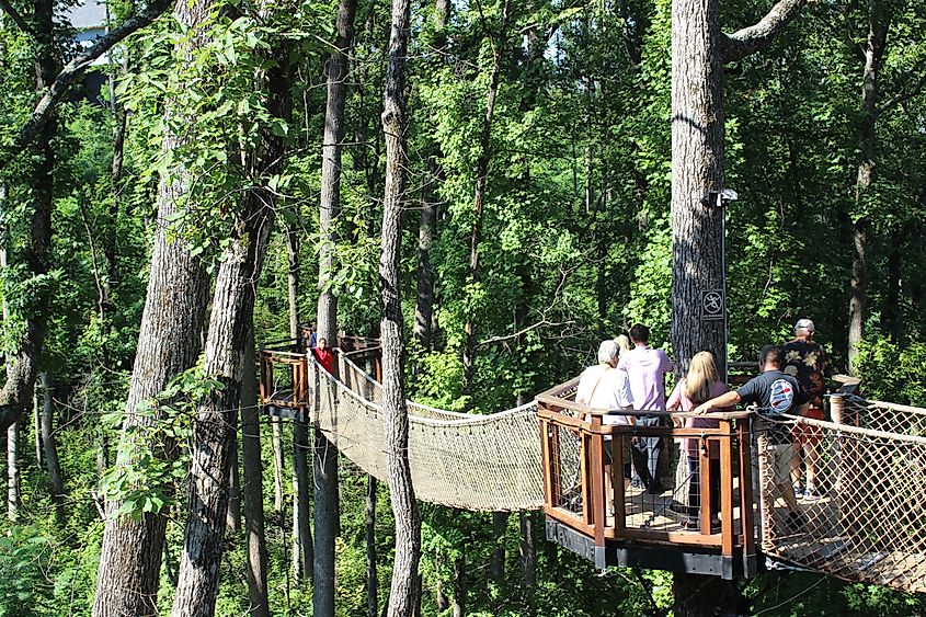Treetop Skywalk at Anakeesta Theme Park in Gatlinburg, Tennessee