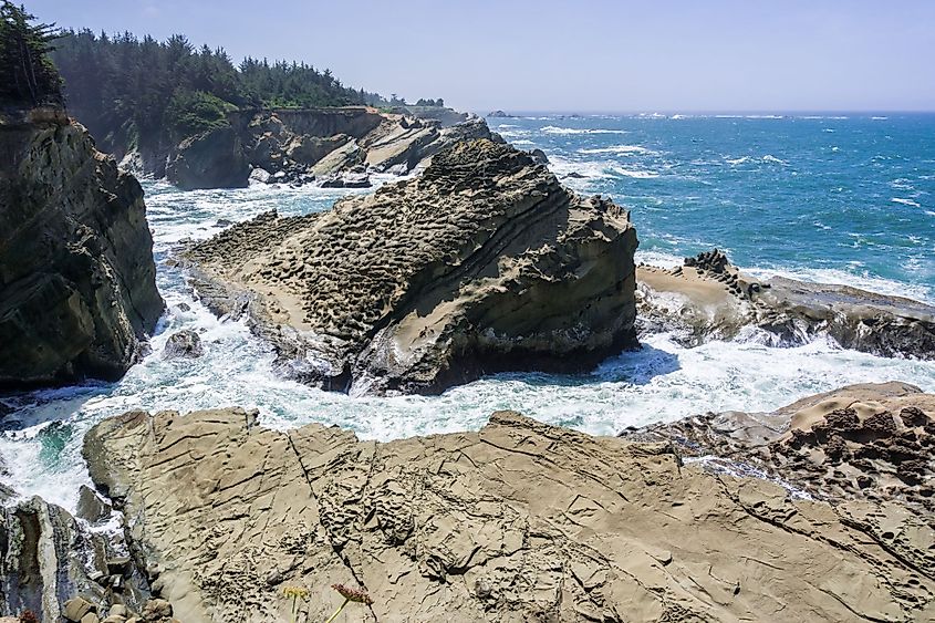 Dramatic shoreline with strange rock formations at Shores Acres State Park, Coos Bay, Oregon