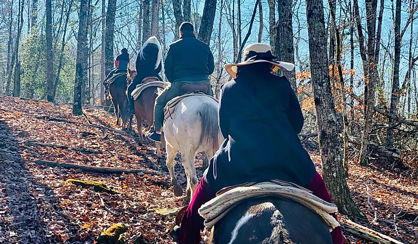 Horse back riders in single file going uphill.