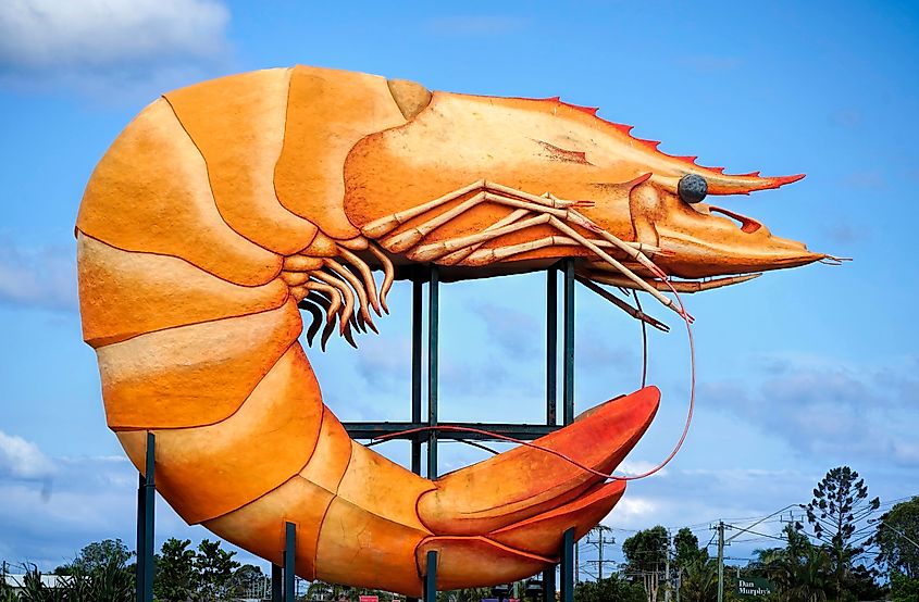 The Big Prawn sculpture, Ballina, New South Wales, Australia