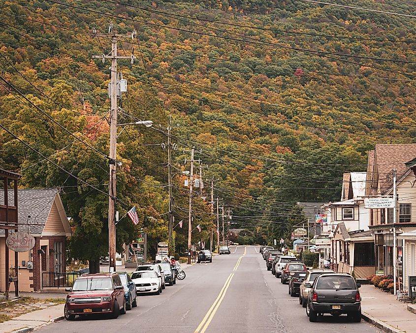 The Main Street in Phoneia, New York.