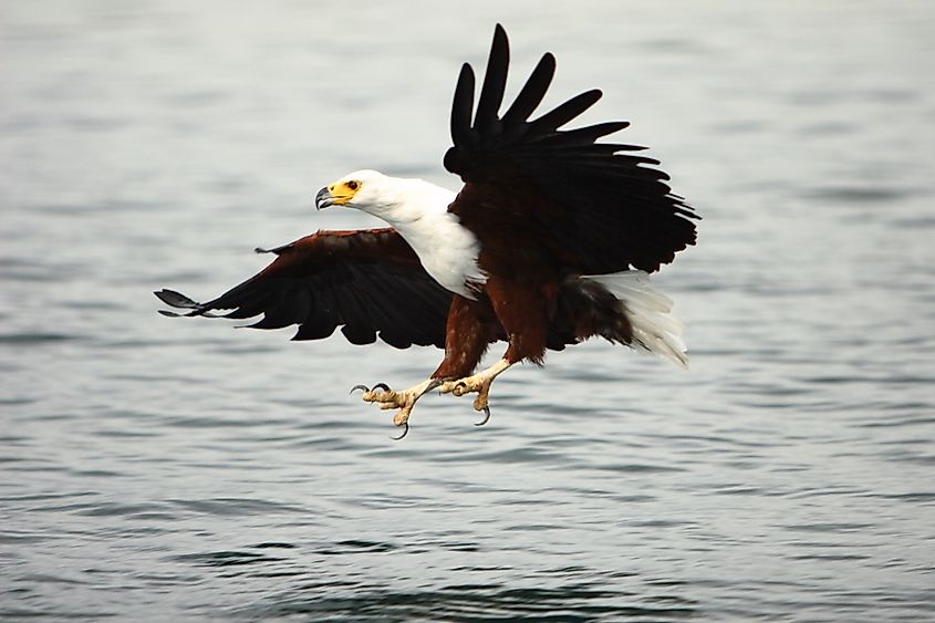 Lake Malawi National Park