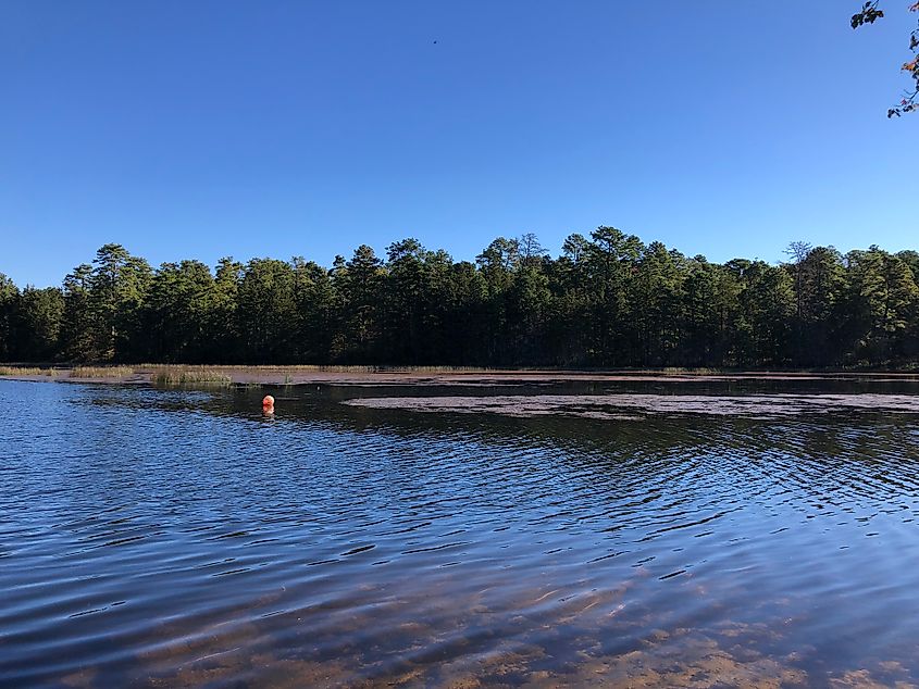 Batsto Lake at Batsto Village in Wharton State Forest, New Jersey