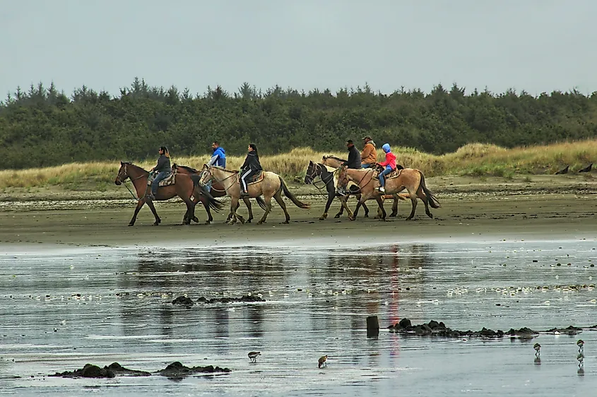 Horseback riders along the beach in Ocean Shores, Washington.