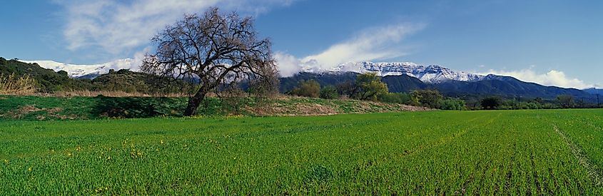 The Spring in Ojai