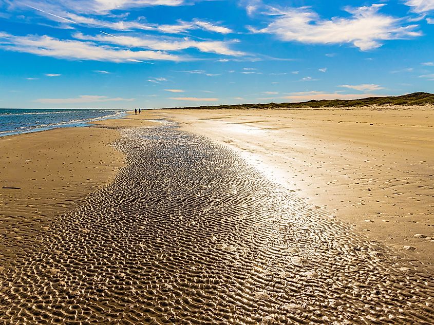 Tourists Exploring Malaquite Beach at Low Tide, South Padre Island National Seashore, Corpus Christi, Texas, USA