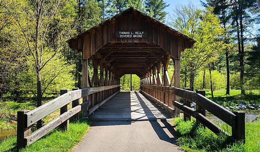 Covered bridge in Allegany State Park