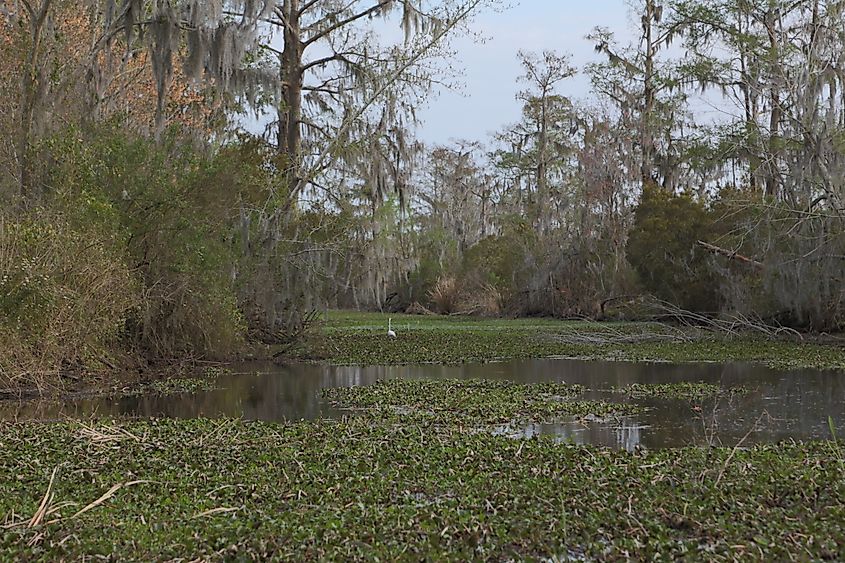 Jean Lafitte National Historical Park and Preserve.