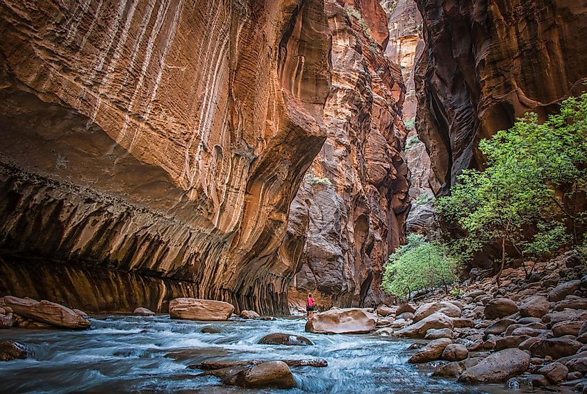 Hiking in The Narrows, Zion National Park, Utah