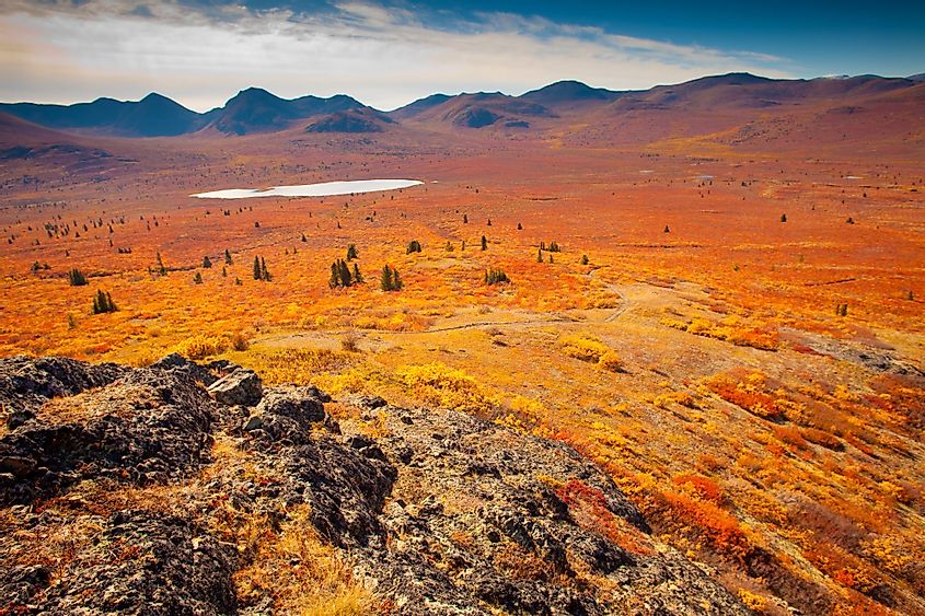 Fall-colored alpine tundra, Yukon territory, Canada