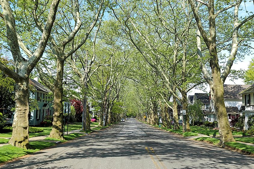 Nice suburban alley, Bellerose, Nassau County.