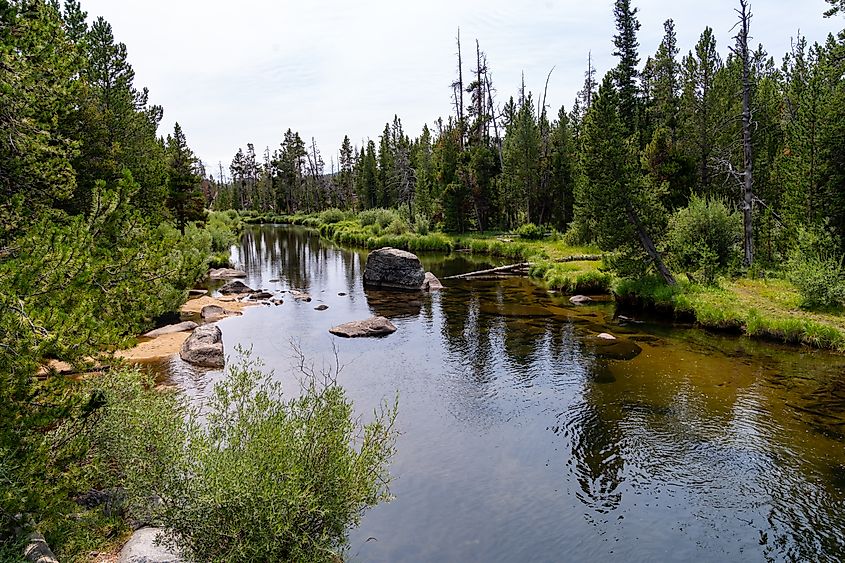 Little Popo Agie River, near Lander, Wyoming, with calm water