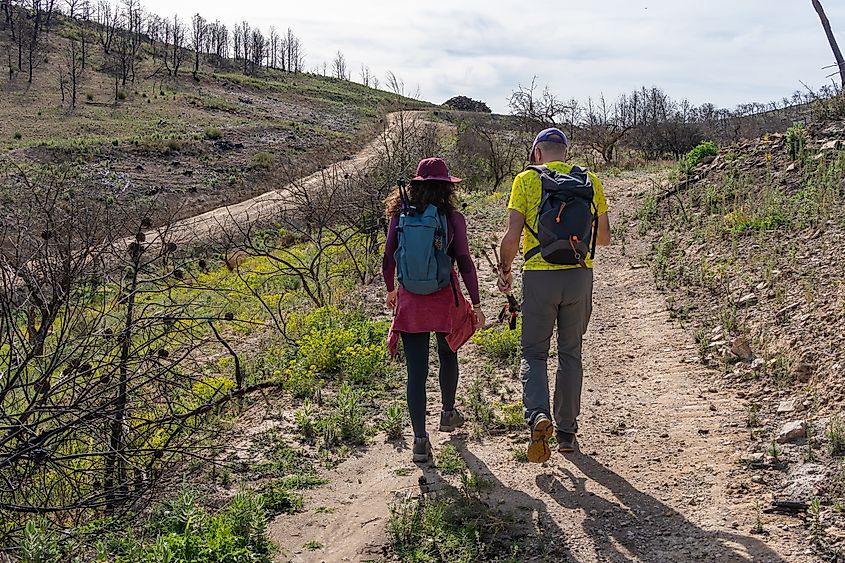 A pair of hikers with backpacks walk on a trail through a landscape recovering from a wildfire.