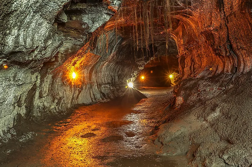 Editorial Photo Credit: Robin Runck via Shutterstock. Thurston Lava Tube on Hawaii Big Island