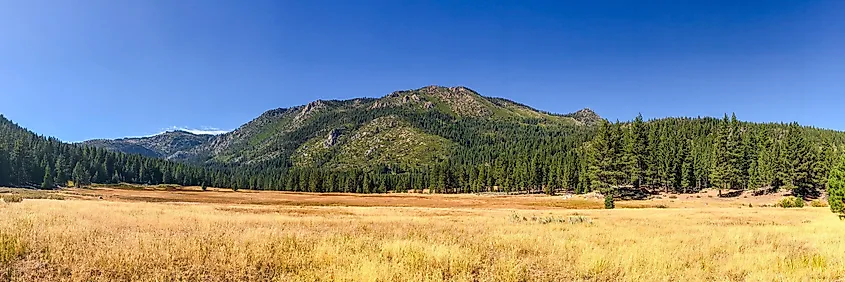 Panorama of Markleeville, California, showcasing the picturesque summer landscape.
