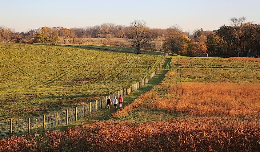 People taking a leisure walk on the trail at Stroud Preserve before sunset in late fall, West Chester, Pennsylvania