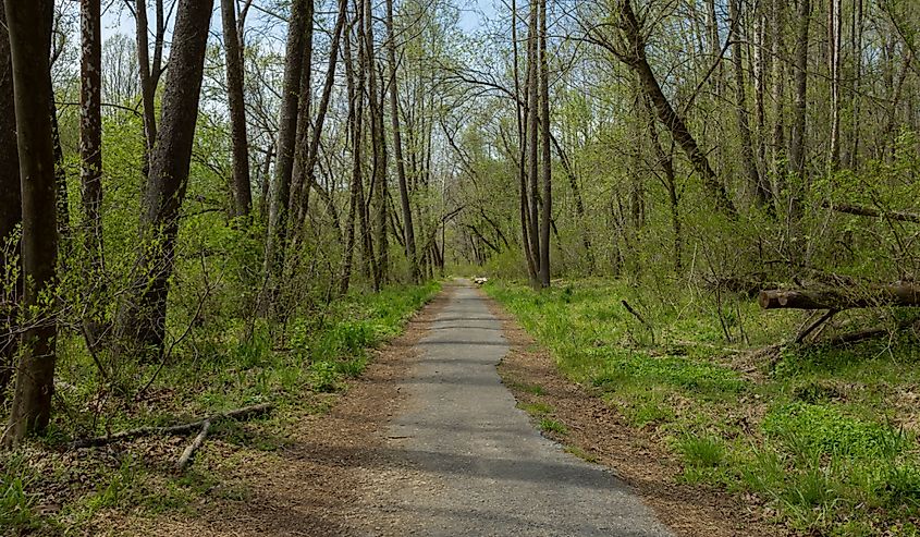 Alberton Road Trail Path, Patapsco Valley State Park