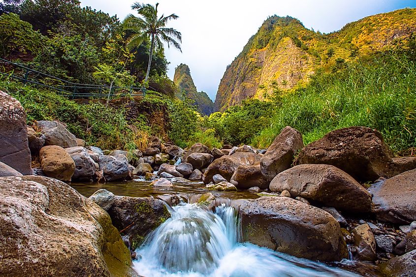 A stream runs through Iao Valley State Park in Hawaii.