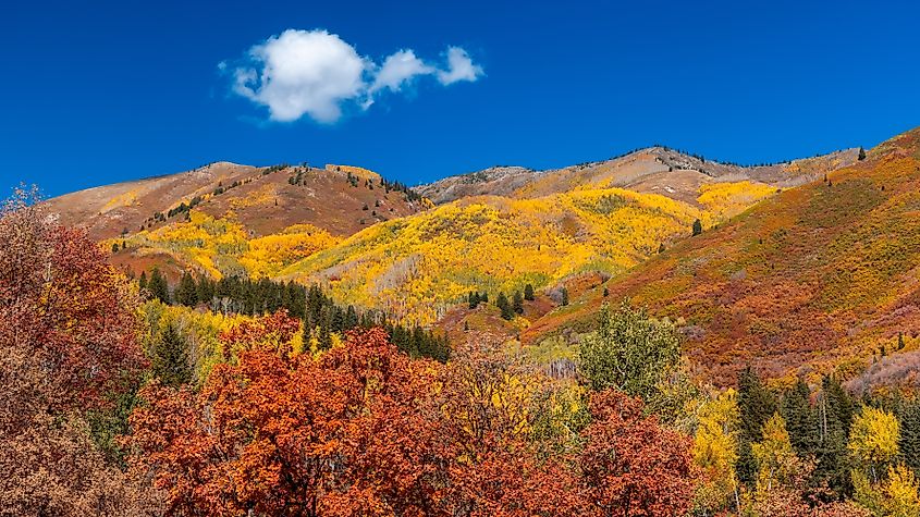 Wasatch mountain state park in Utah.