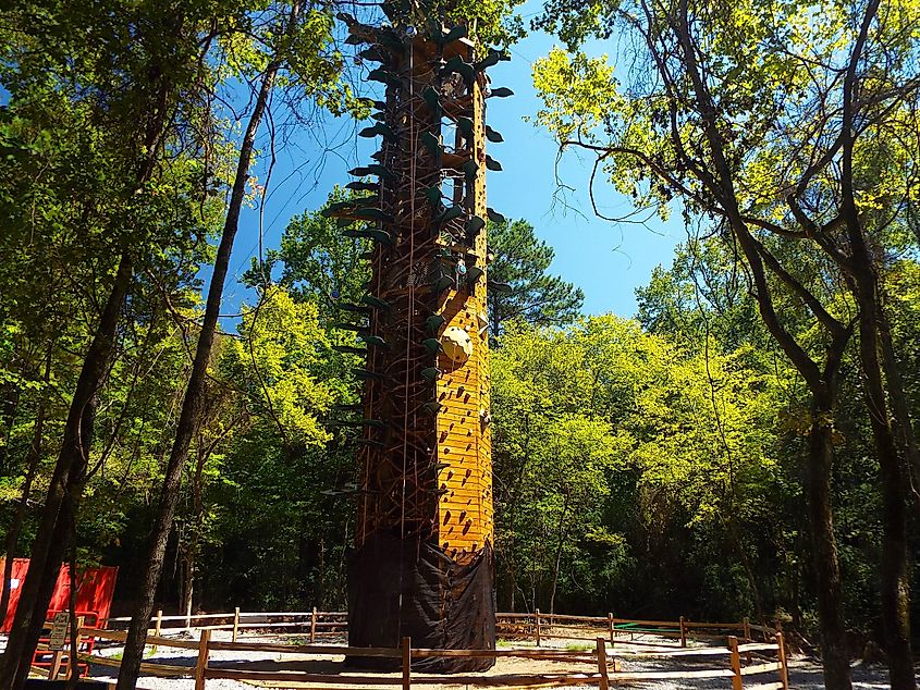 Tall outdoor climbing tower with ropes and platforms among trees in a wooded park.