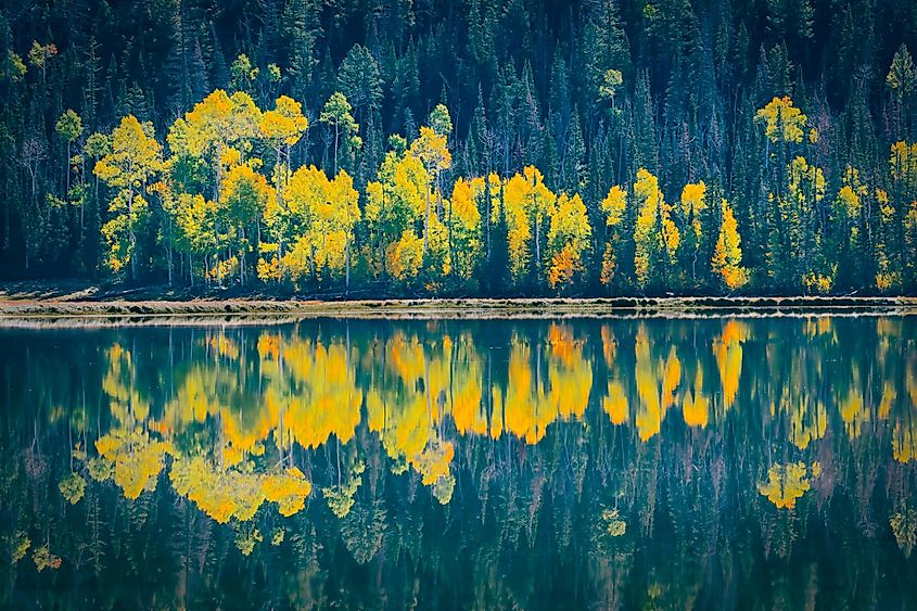 Fall colors reflected in Fish Lake near Richfield Utah, USA.