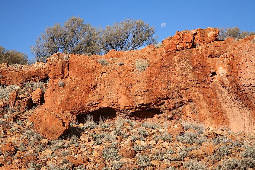 The Great Victoria Desert - WorldAtlas