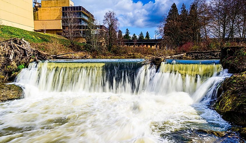 Looking out over the Tumwater Falls in Tumwater Washington