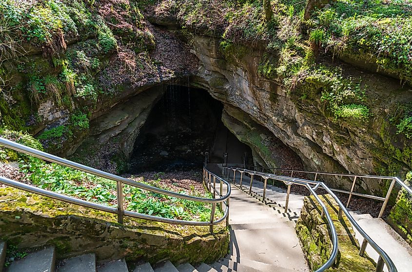 Mammoth Cave National Park in Kentucky.