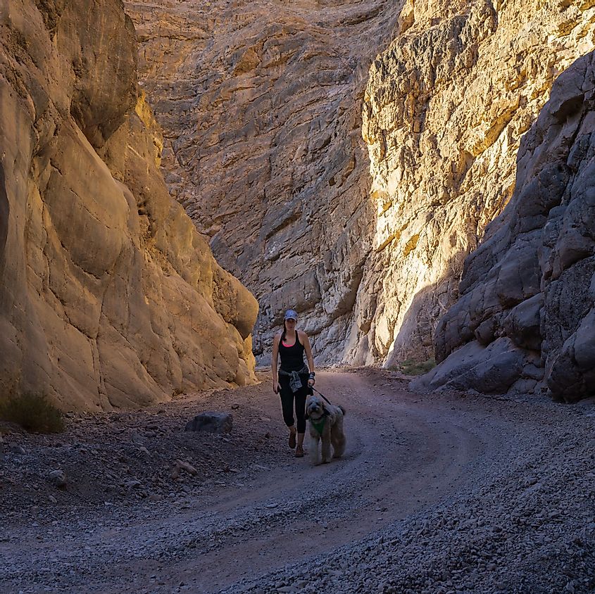 Woman hikes with her dog in Titus Canyon at sunset in Death Valley National Park, California
