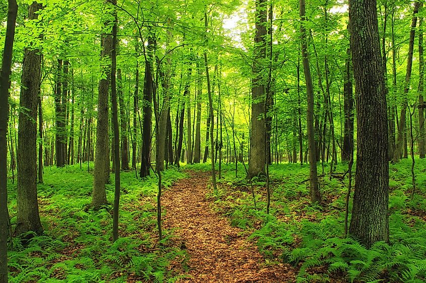 Cherry Valley National Wildlife Refuge