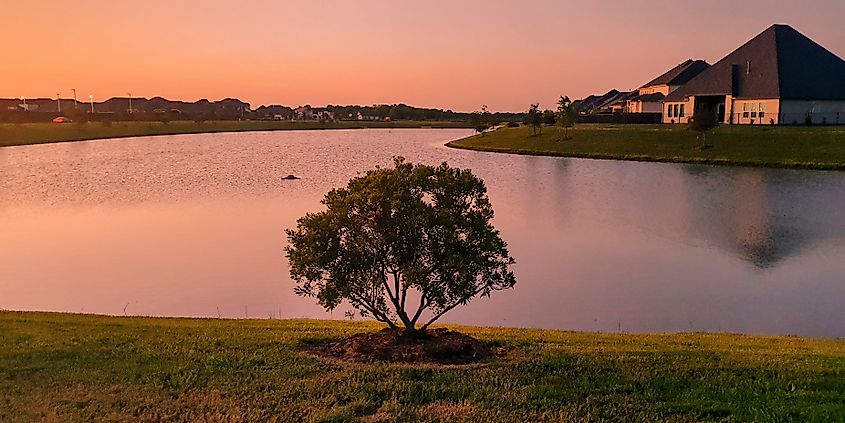 Evening colors in Manvel Texas, US