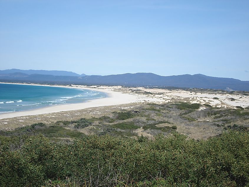 Beach at St Helens, Tasmania Photographer: Aaroncrick