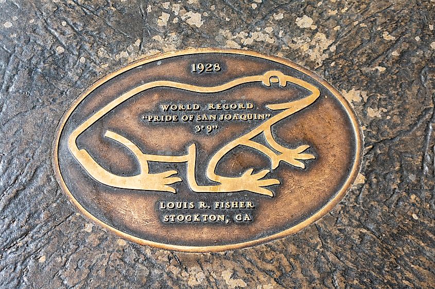 "Frog Hop of Fame" in Angels Camp, California