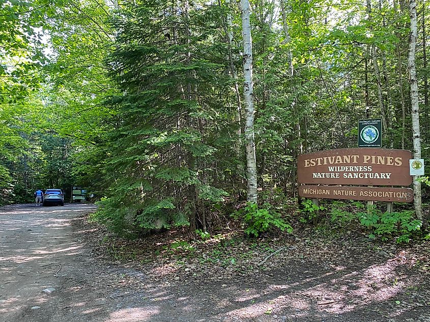 The gravel parking area amongst a forest indicated to be Estivant Pines by a large sign. 