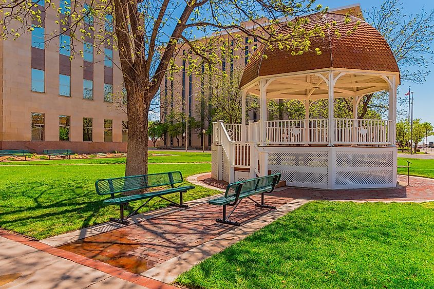 Trees are starting to leaf out in spring above downtown Lubbock, Texas. 